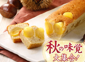 「秋の味覚  大集合！」のご案内